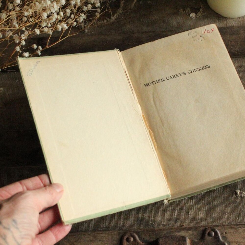 Vintage Antique 1910s Book, "Mother Carey's Chickens", by Kate Douglas Wiggin, - Picture 9 of 16